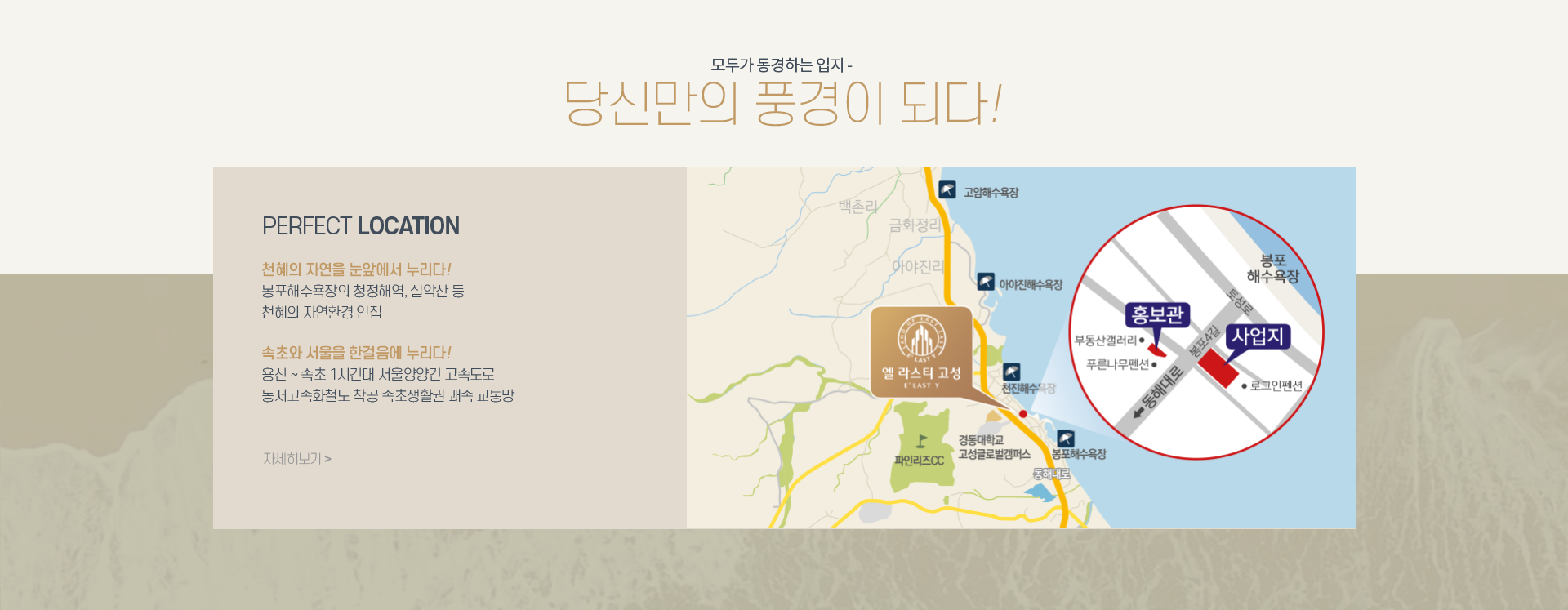 엘라스티 고성_내용